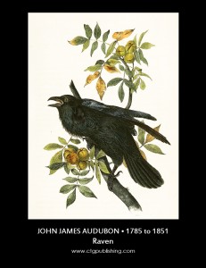 John James Audubon Bird Illustrations