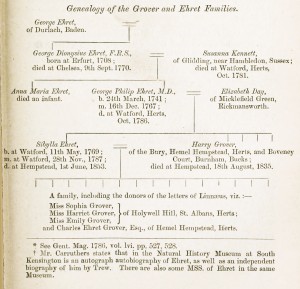 Georg Ehret Genealogy Family Tree Chart