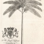 The natural history of Barbados - Ehret - Frederick Prince of Wales