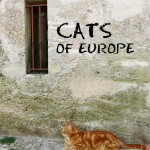 Cats of Europe