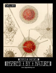 Ernst Haeckel Inspired by Nature from Delsc