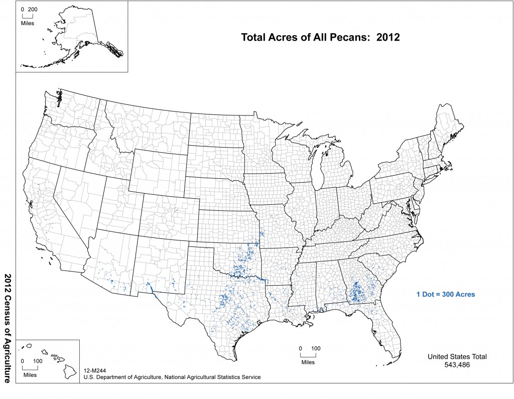 Map: 2012 United States Top Pecan Producing Areas