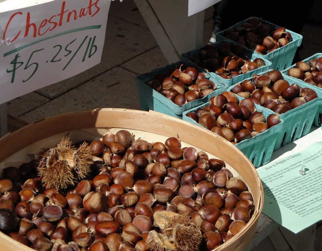 Chestnuts at the Market by Carly Lesser and Art Drauglis