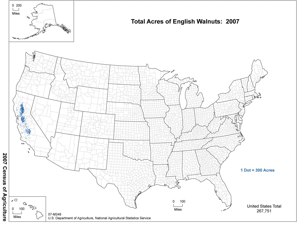 English Walnut Production by State - USDA Map