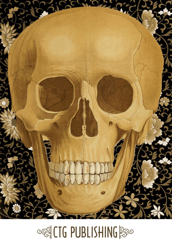 Skull Art by CTG Publishing