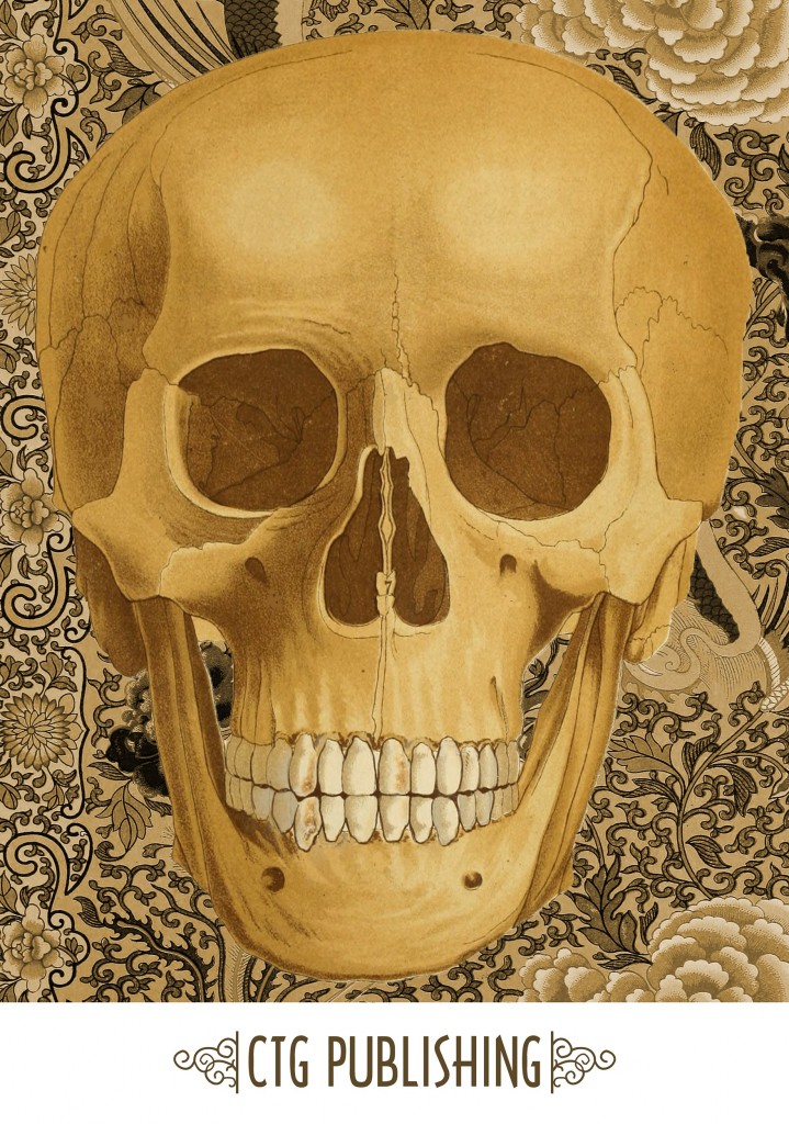 Skull Art by CTG Publishing