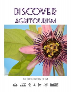 What is Agritourism