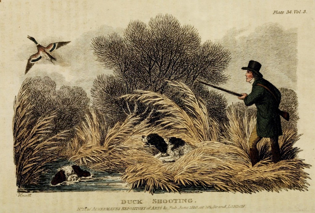 1810 Antique Bird Hunting Scene - Duck Illustration