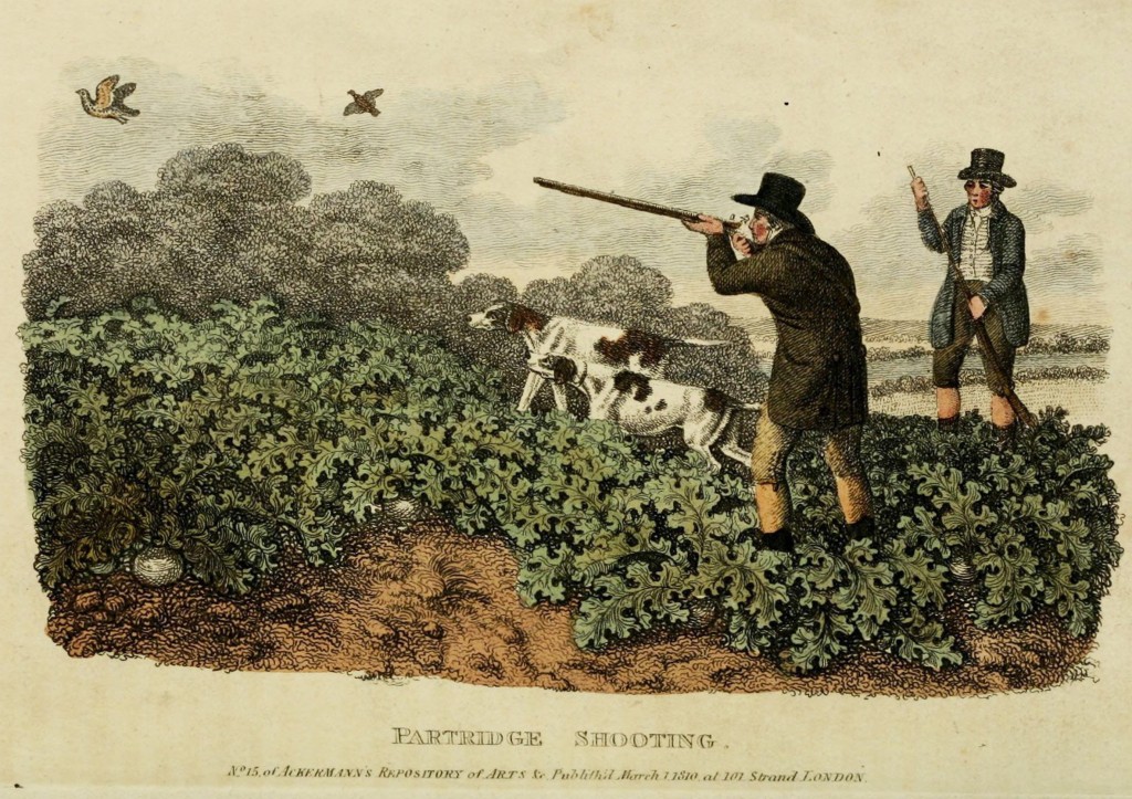 1810 Antique Bird Hunting Scene - Partridge Illustration