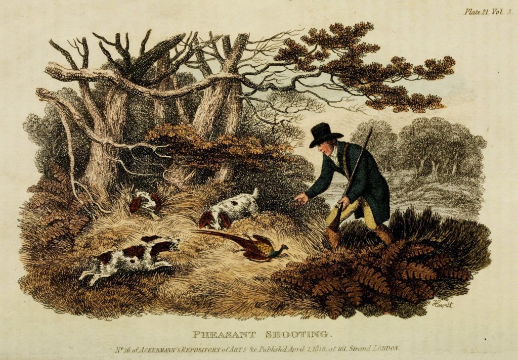 1810 Antique Bird Hunting Scene - Pheasant Illustration