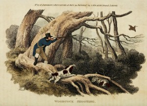 1810 Antique Bird Hunting Scene - Woodcock Illustration