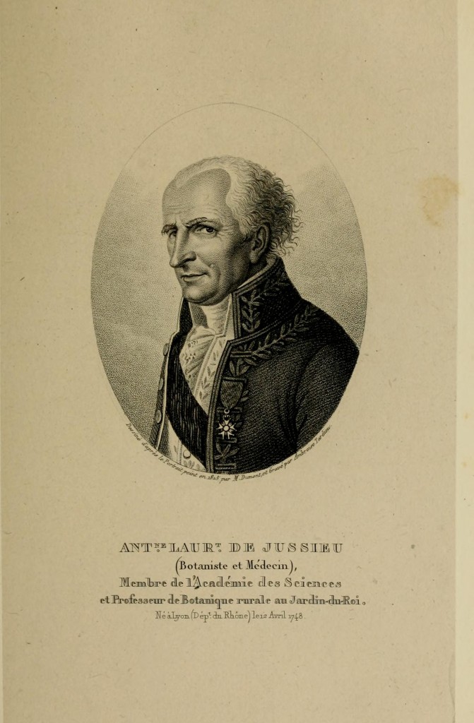 Antoine Laurent de Jussieu Portrait 1748 1836 Jardin des Plantes