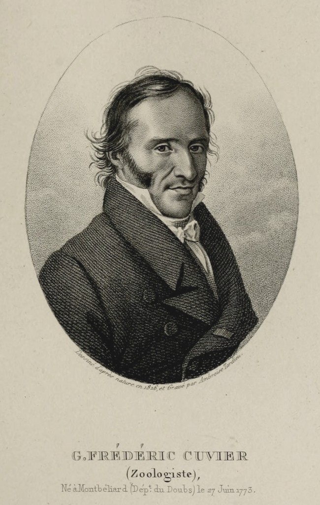 Frederic Cuvier (1773-1838) Portrait by Ambroise Tardieu