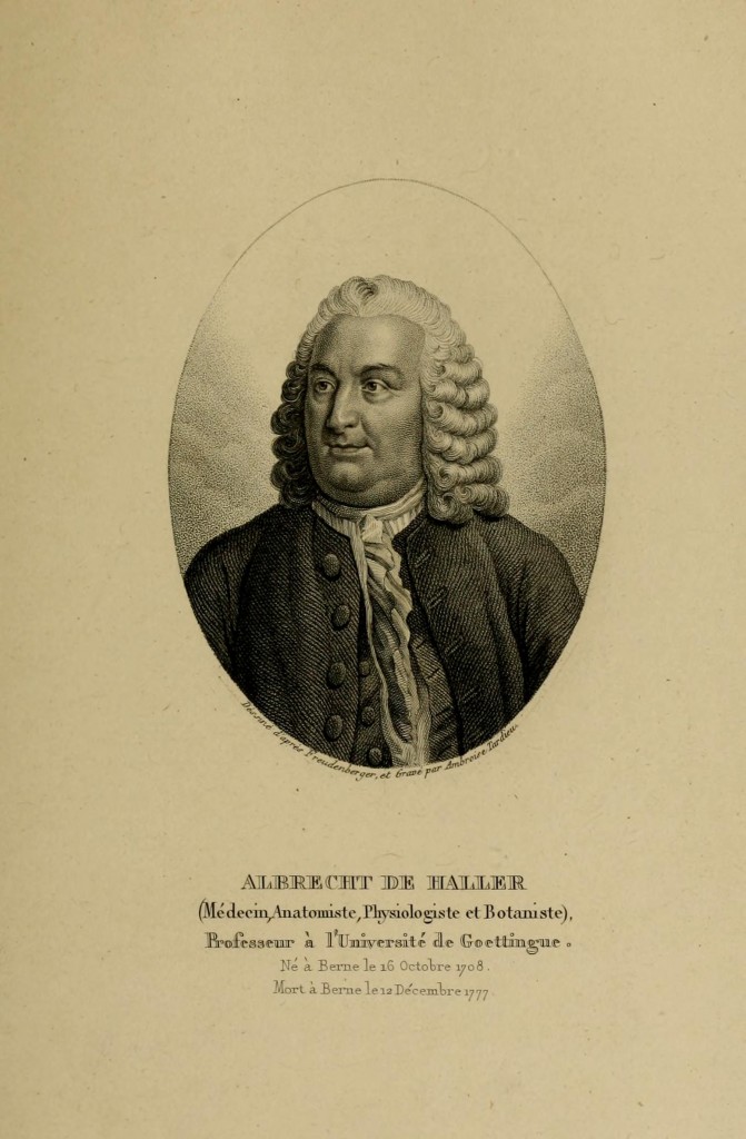 Albrecht von Haller (1708 - 1777) Portrait