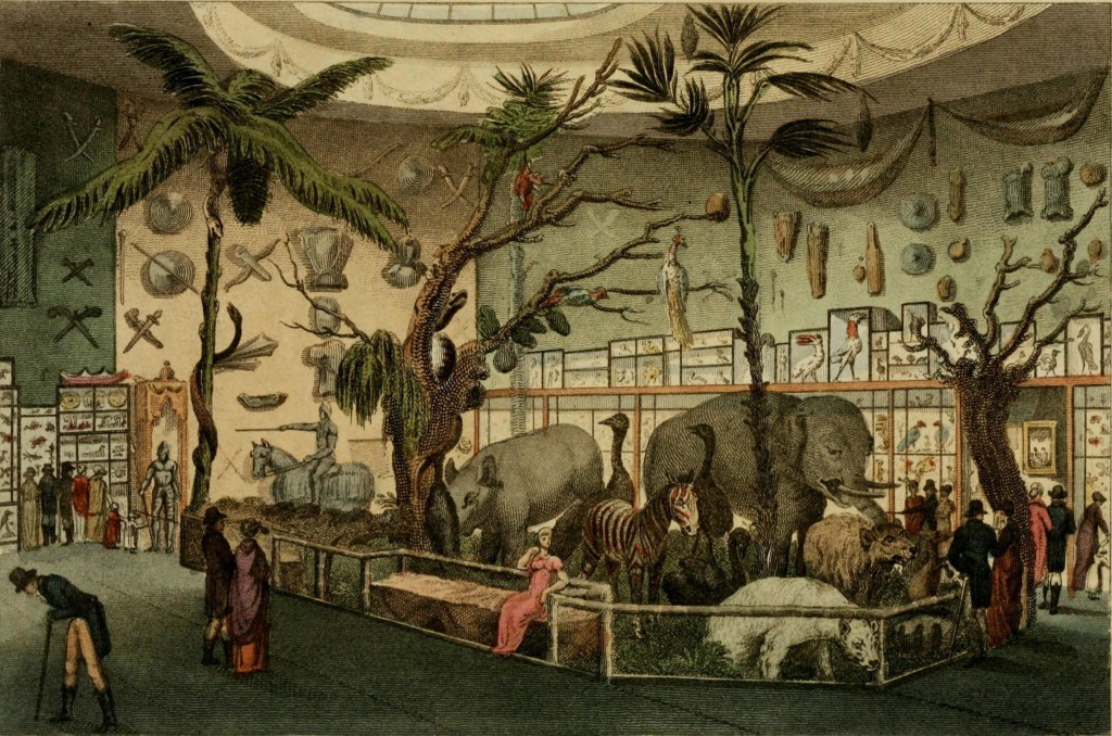 Bullock's Nature Museum at Piccadilly, London from Ackermann's Repository 1810