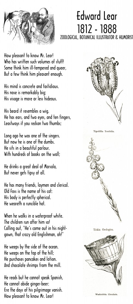  Edward Lear Botanical Humor and Lovely Poem by Mr. Lear