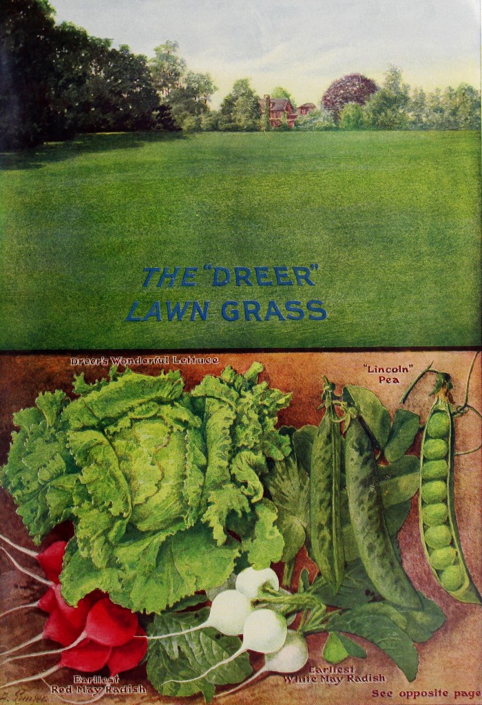 1909 Henry A. Dreer Vegetable Seed Catalog illustration