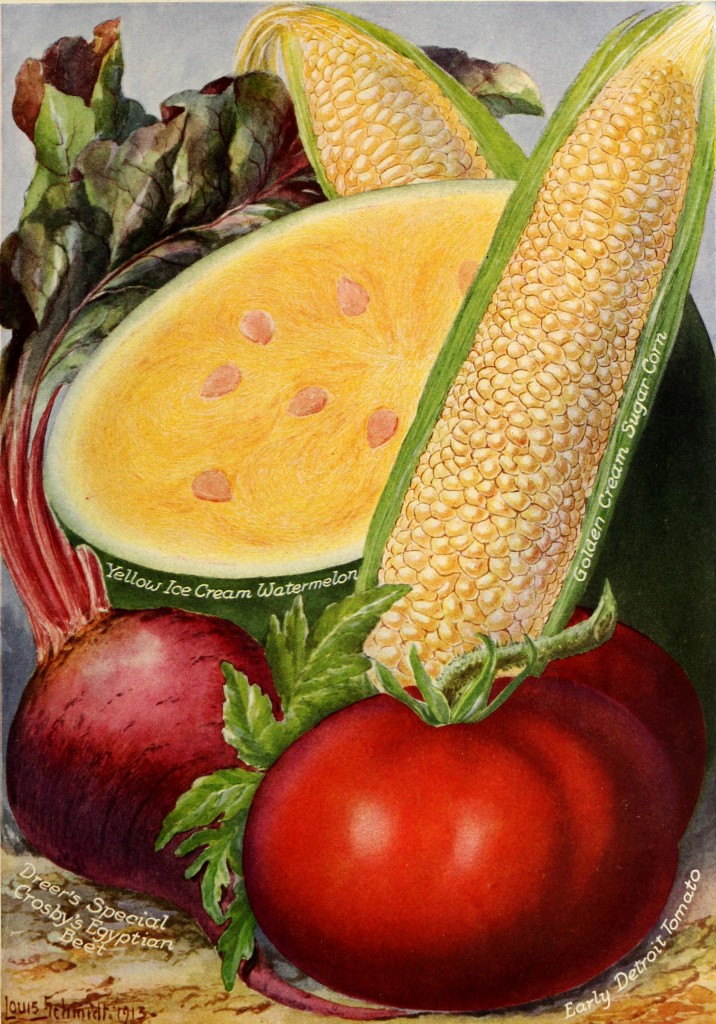 1914 - Henry A. Dreer Vegetable Seed Catalog Illustrations