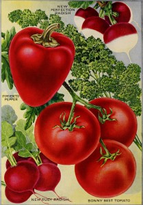 1921 - Henry A. Dreer Vegetable Seed Catalog Illustrations
