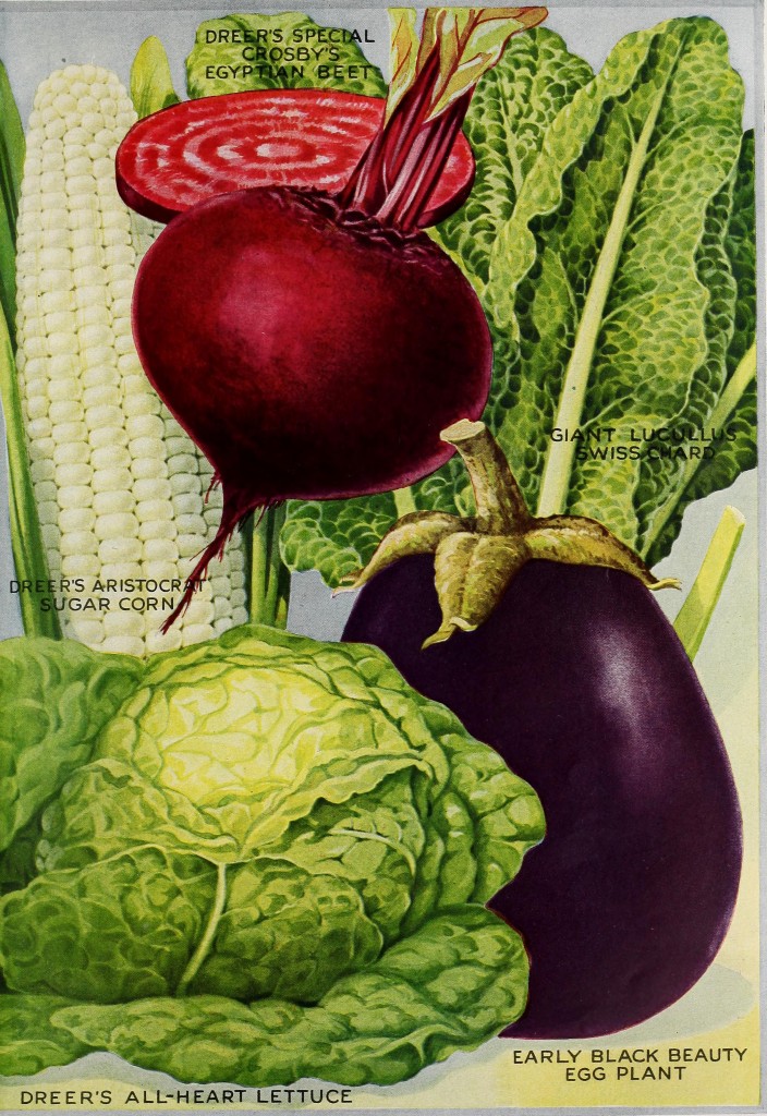 1921 - Henry A. Dreer Vegetable Seed Catalog Illustrations