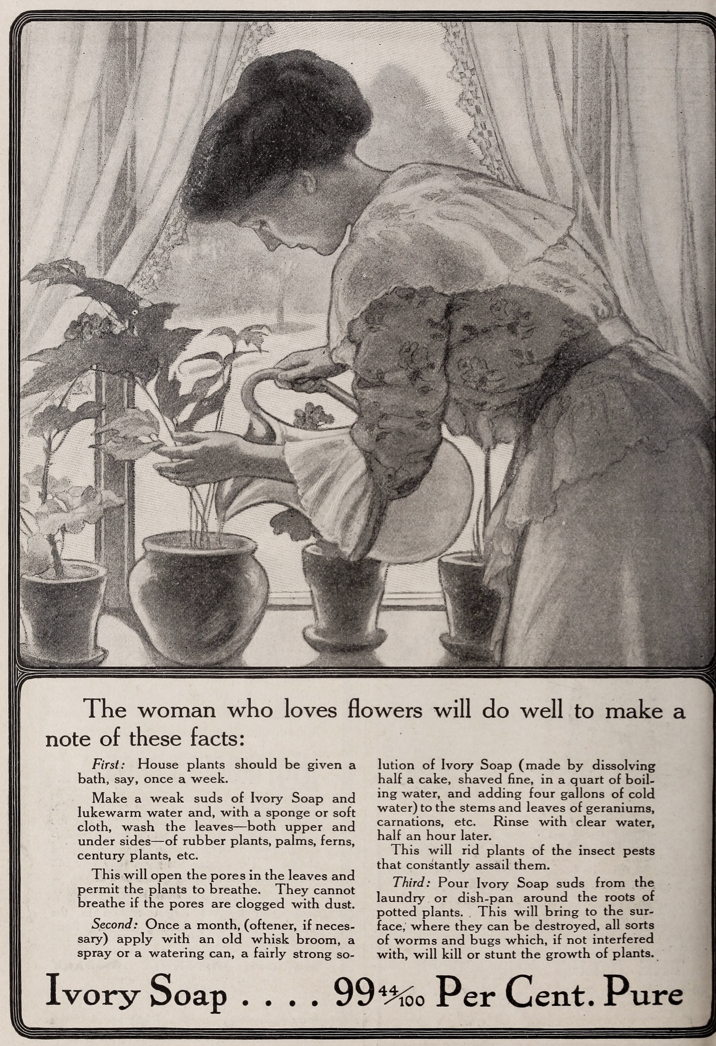 Ivory Soap Ad 1900 - Plant Tips With Woman Watering Plants Scene