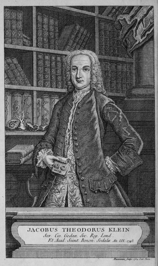 Jacob Theodor Klein (1685-1759) Portrait circa 1743 