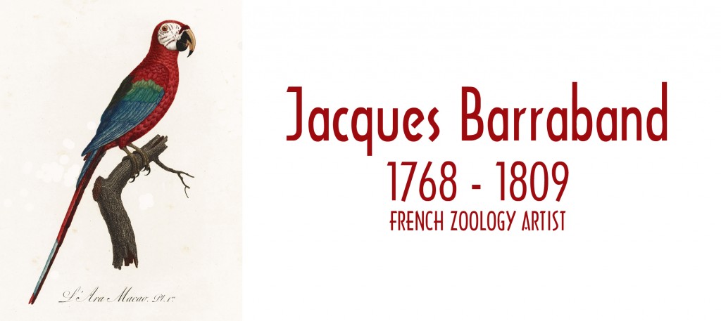 Jacques Barraband Born 1768 and Died 1809 Zoology Artist