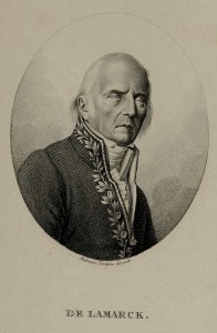 Jean-Baptiste Lamarck (1744-1829) Blind Portrait by Ambroise Tardieu