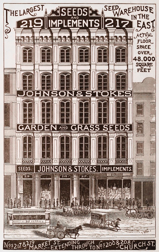 Johnson and Stokes Seed Co at 217 and 219 Market St - Building Illustration Philadelphia circa 1890