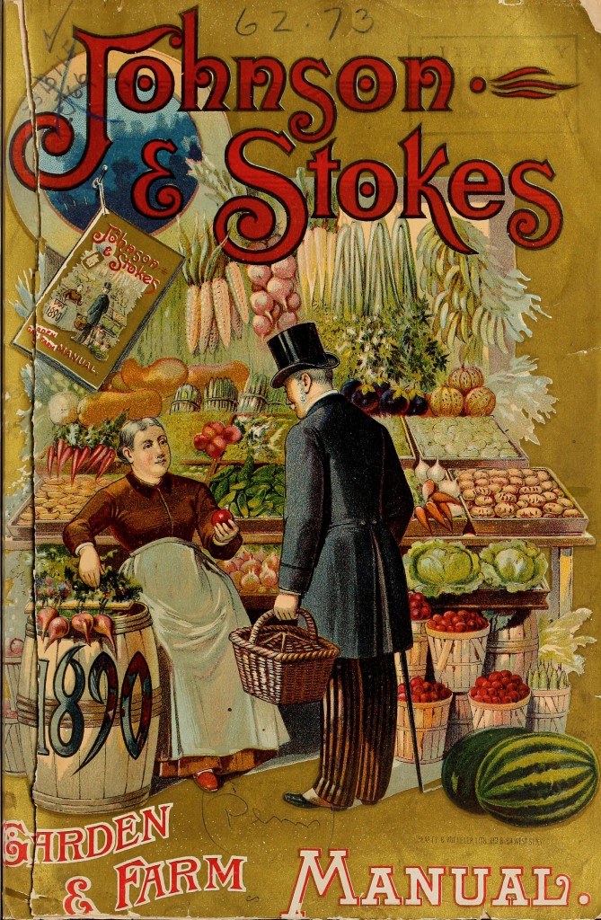 Johnson and Stokes Seed Co Illustration - Market circa 1890