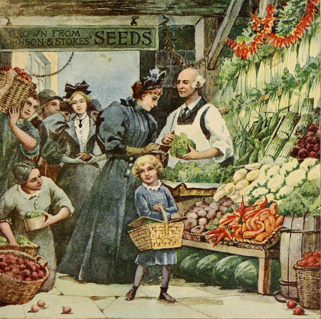 Johnson and Stokes Seed Co Illustration - Market circa 1896