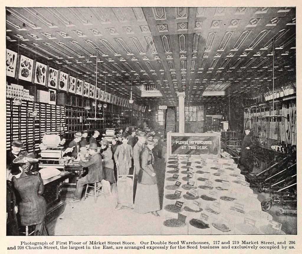 Johnson and Stokes Seed Co Store/Showroom at 217 and 219 Market St - Building Photograph Philadelphia circa 1895