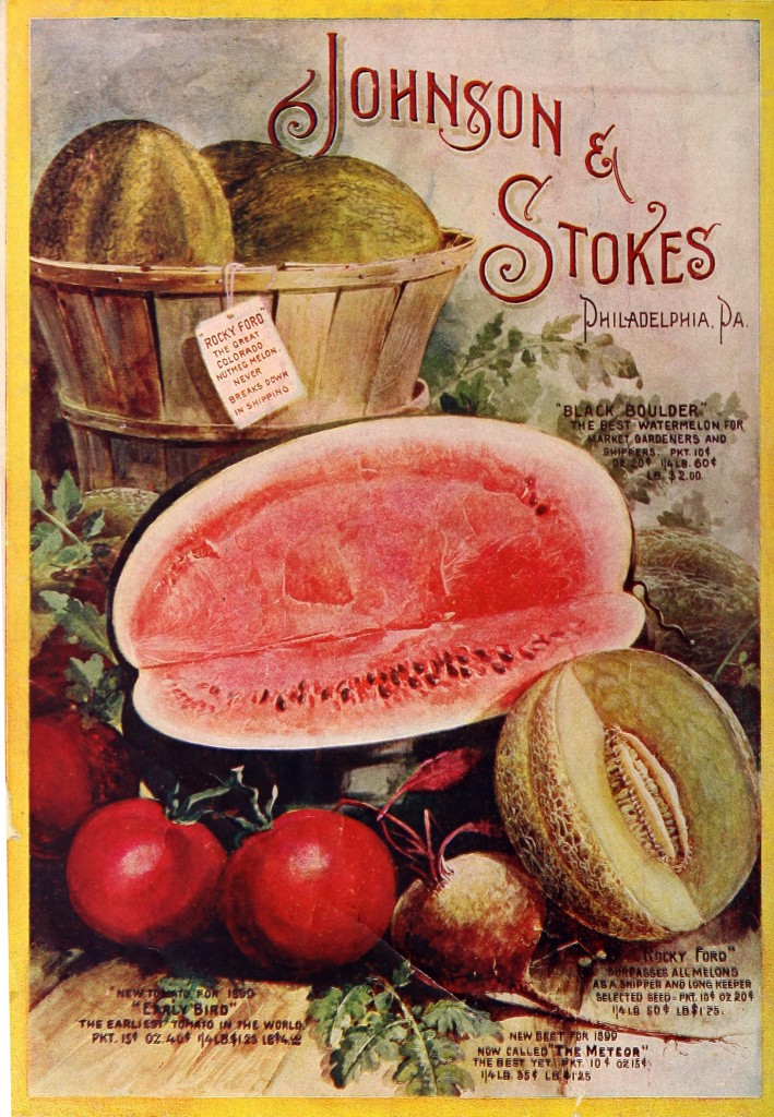 Johnson and Stokes Seed Co Vegetables Philadelphia circa 1899