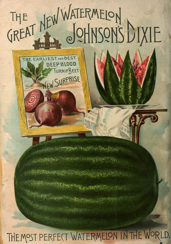 Johnson and Stokes Seed Co Watermelon Philadelphia circa 1899