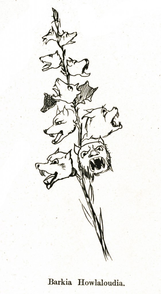 Dogs - Edward Lear Botanical Humor from More Nonsense circa 1872