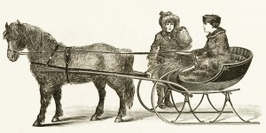 Northwestern Sleigh Co Shetland Pony Cutter Model circa 1889