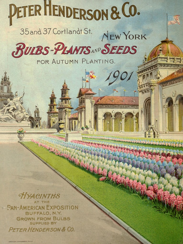 Pan American Exposition Cover Catalog Illustration circa 1901 - Peter Henderson Co.