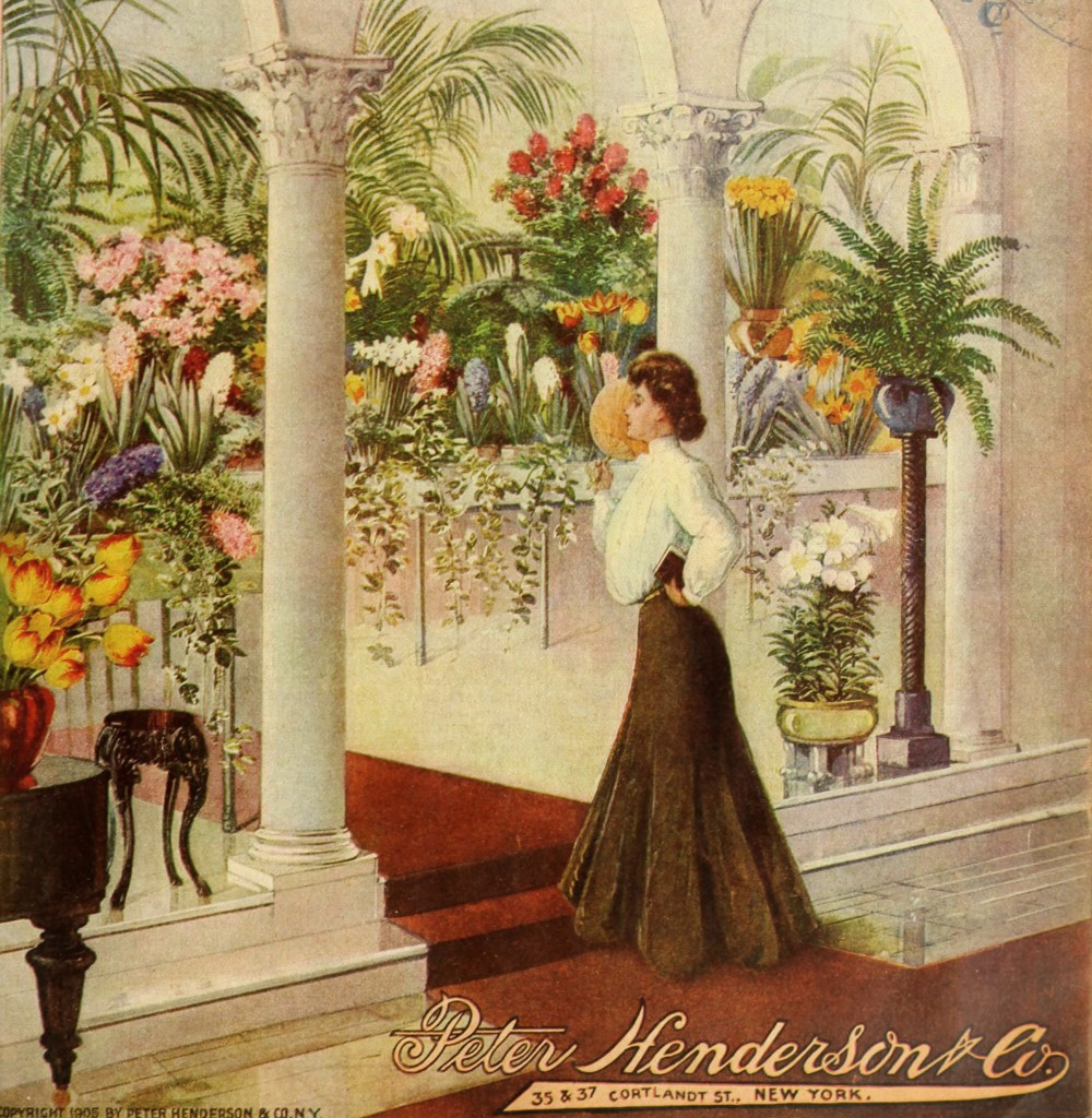 Peter Henderson Co Seed Catalog Cover circa 1905