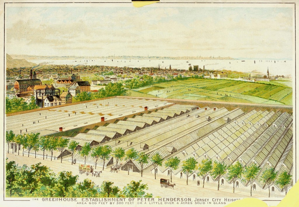 Peter Henderson Co Greenhouses in Jersey City Heights circa 1885