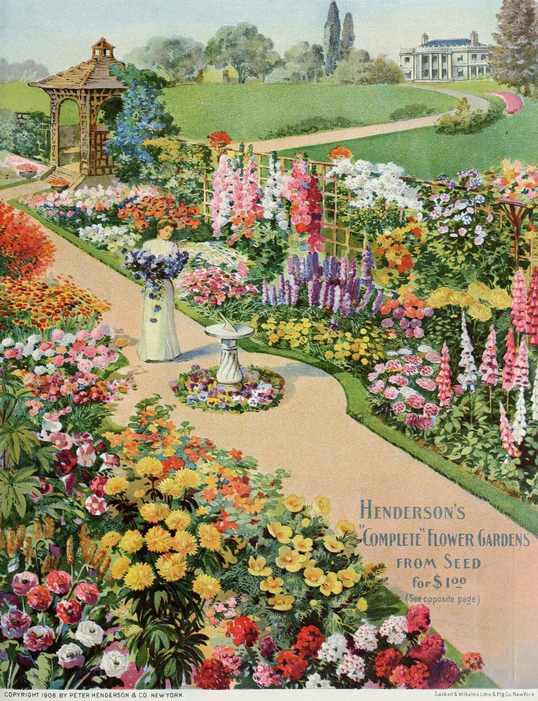 Peter Henderson Co Seed Catalog Cover circa 1906