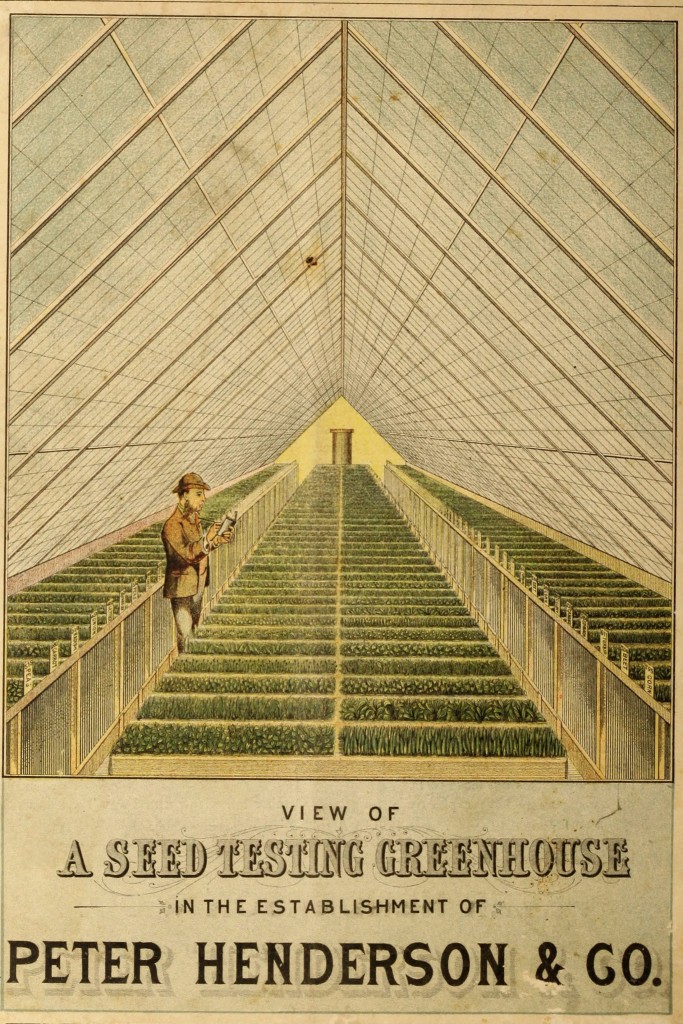 Peter Henderson Co. Seed Testing Greenhouse circa 1895