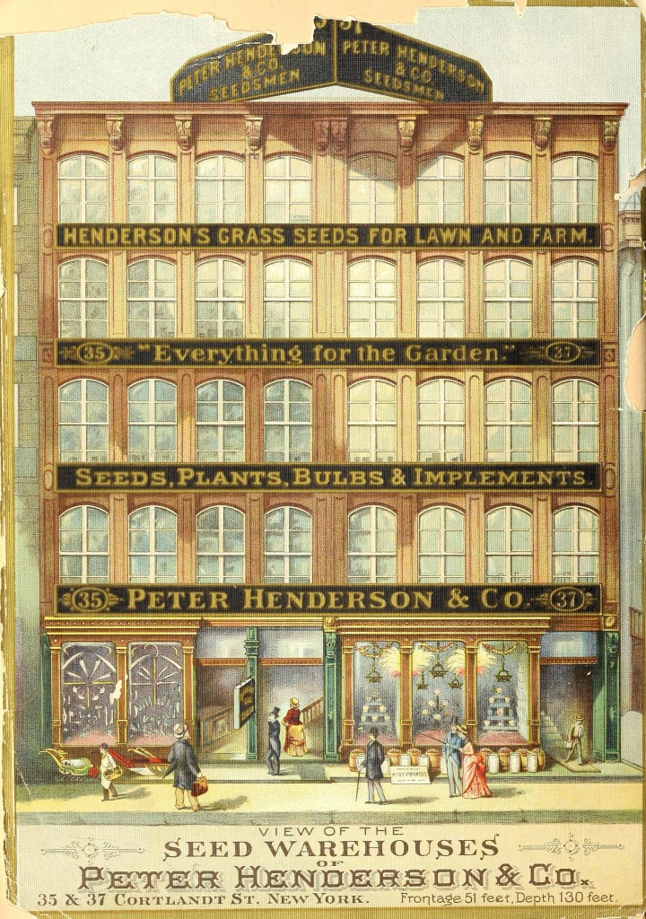 Peter Henderson Co. New York Seed Warehouse and Showroom on Cortlandt St circa 1886