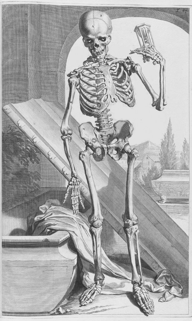 Skeletal Illustration circa 1690 from Anatomia Humani Corporis by Govert Bidloo (1649-1713)