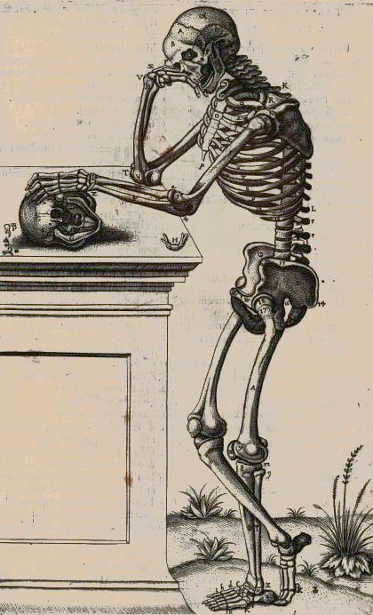 Skeleton Image from Andreas Vesalius (1514-1564) De Humani Corporis Fabrica