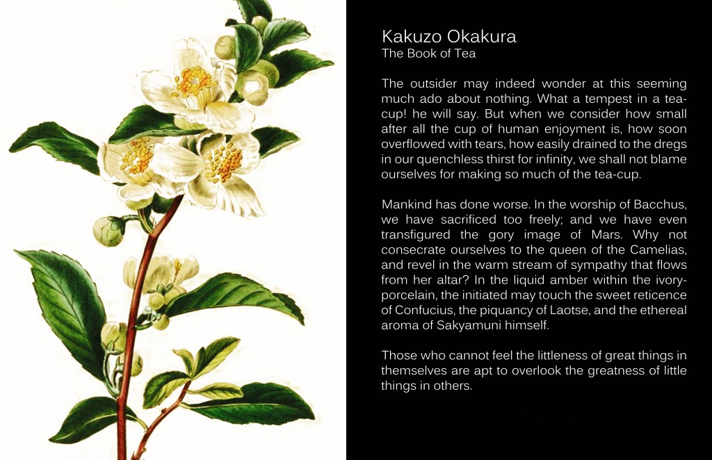 Okakura Kakuzo Tea Quote with Tea Plant