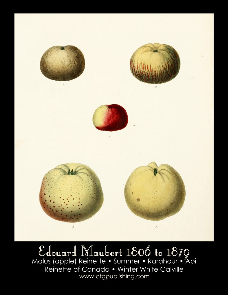 Apple Illustration by Edouard Maubert