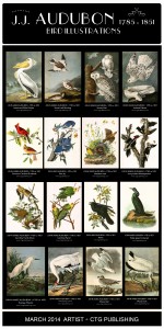 Audubon Bird Illustrations - CTG Publishing March 2014 Artist of the Month