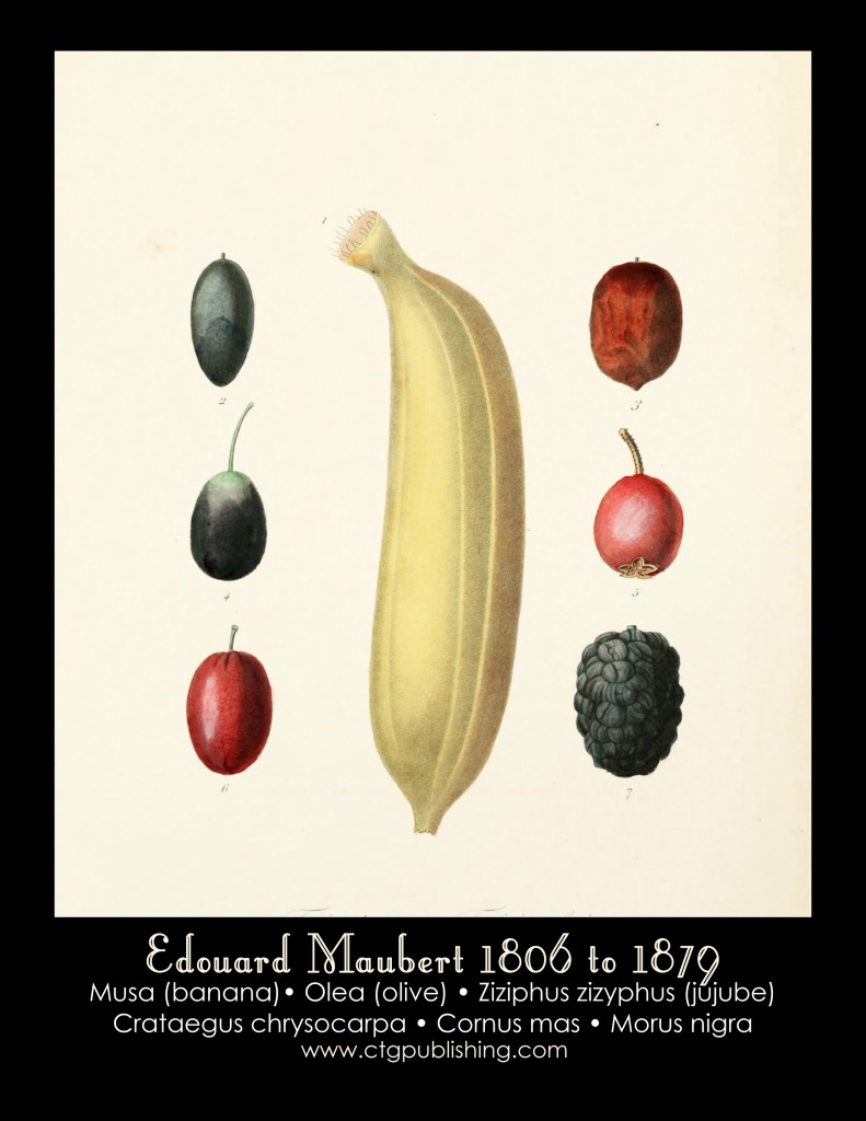 Banana, Olive and Jujube Illustration by Edouard Maubert