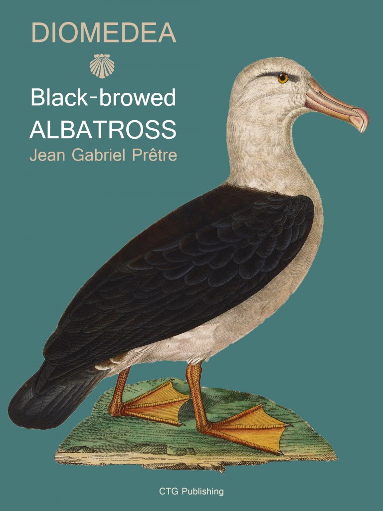 Black-browed Albatross J.G. Pretre Diomedea