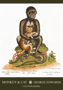 Cat with a Black Monkey - Illustration by George Edwards circa 1770